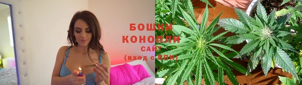 МДПВ Нефтегорск